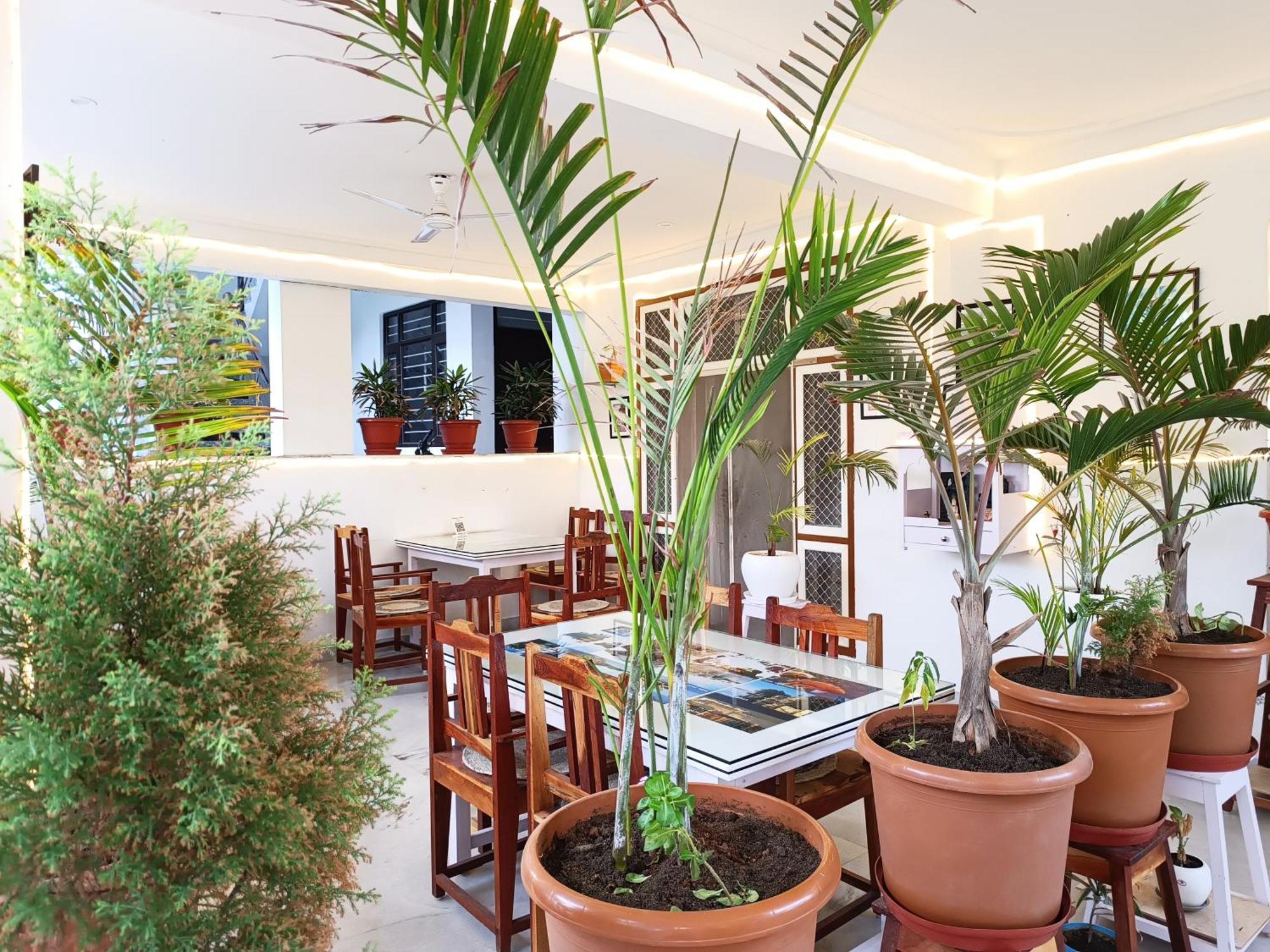 Choudhary White House Udaipur Apartment Bagian luar foto